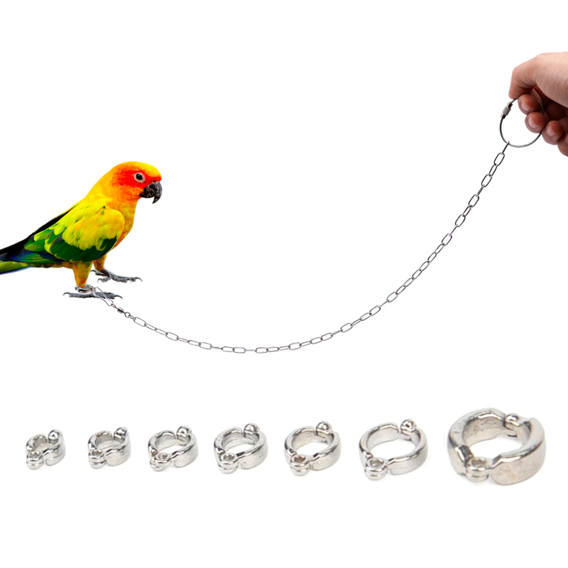 Pierścień na nogę papugi ze st – Anklet Foot Chain recenzja i cena